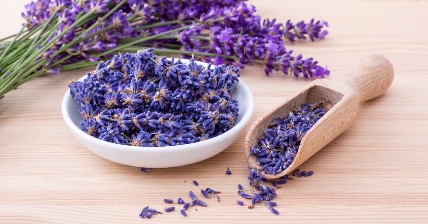 fiori di lavanda essiccati